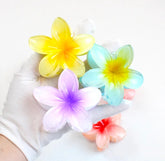 Hawaiian Flower Hair Claw Clips, Plumeria Design,Glossy Finish , Multicolour