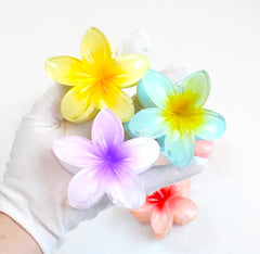 Hawaiian Flower Hair Claw Clips, Plumeria Design,Glossy Finish ,  Multicolour