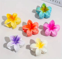Hawaiian Flower Hair Claw Clips, Plumeria Design,Glossy Finish ,  Multicolour